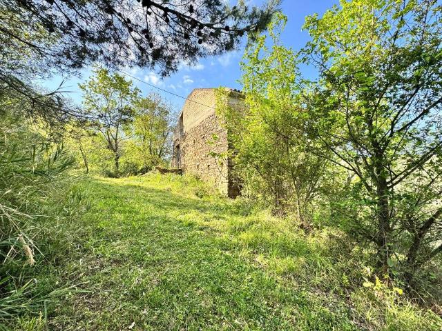 Rustico in vendita a Cicerale, Campania