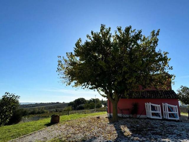 Rustico in vendita a Marche, Macerata