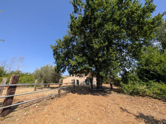 Rustico in vendita a Strada, Cingoli