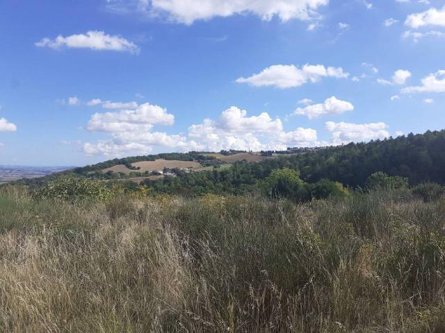 Rustico in vendita a Pozzo, Marche
