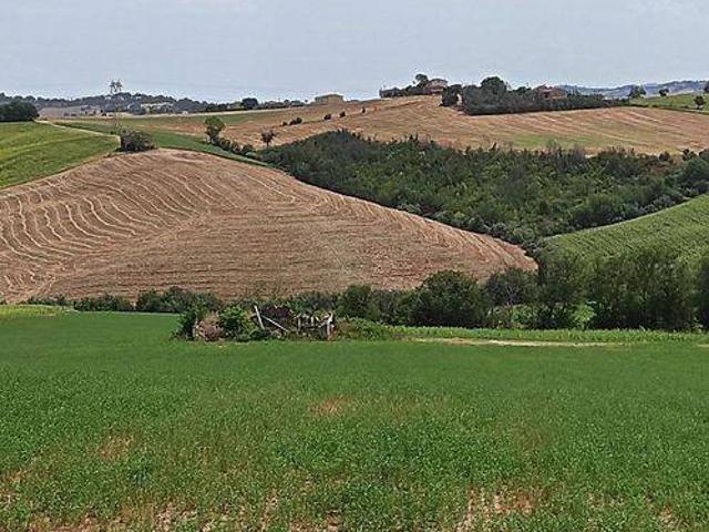 Rustico in vendita a Strada, Marche