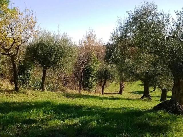Rustico in vendita a Strada, Marche