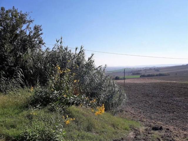 Rustico in vendita a Marche, Macerata