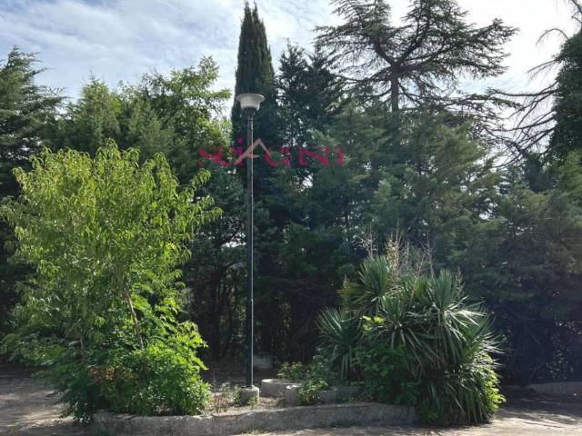 Rustico in vendita a Sasso d’Ombrone, Cinigiano