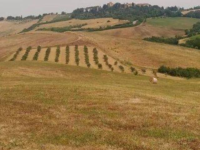 Rustico in vendita a Cinigiano, Toscana