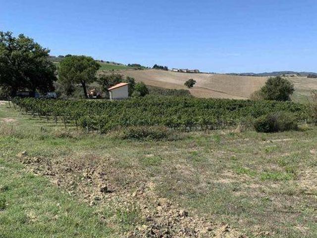 Rustico in vendita a Cinigiano, Toscana