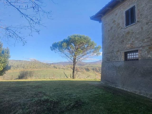 Rustico in vendita a Cinigiano, Grosseto