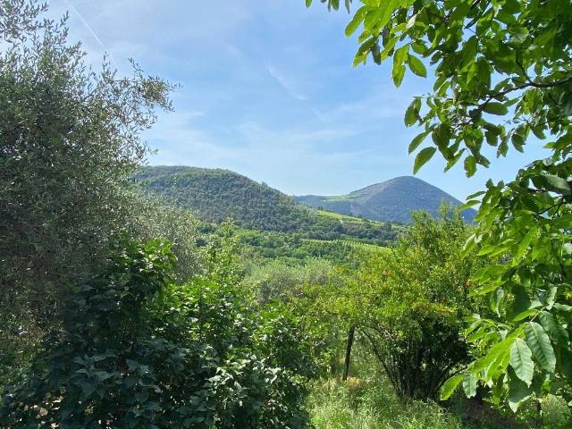 Rustico in vendita a Cinto Euganeo, Valnogaredo