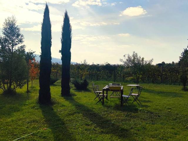 Rustico in vendita a Cinto Euganeo
