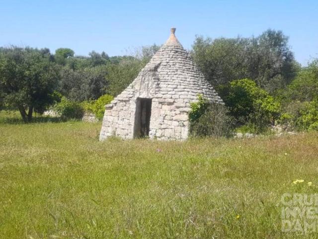 Rustico in vendita a Caranna, Cisternino