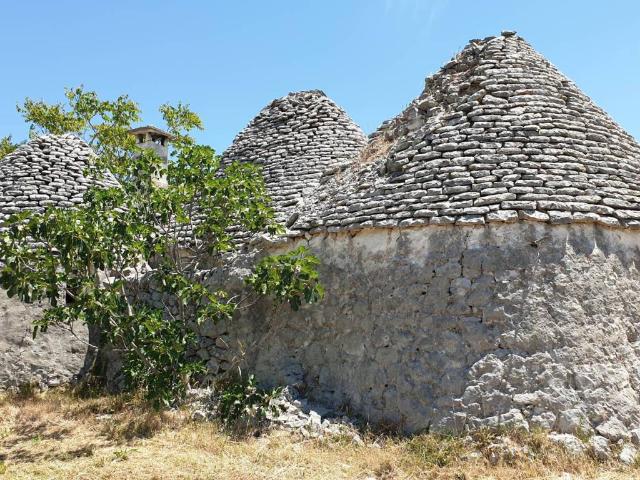 Rustico in vendita a Puglia, Brindisi