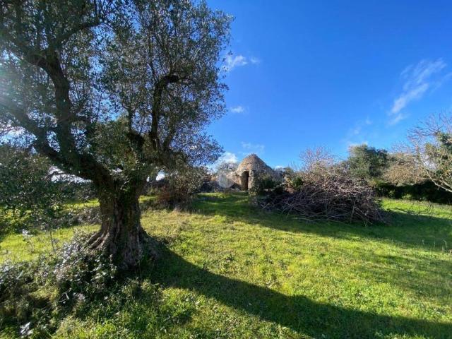Rustico in vendita a Puglia, Brindisi