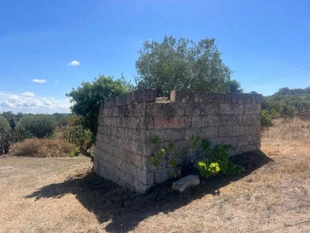 Rustico in vendita a Puglia, Brindisi