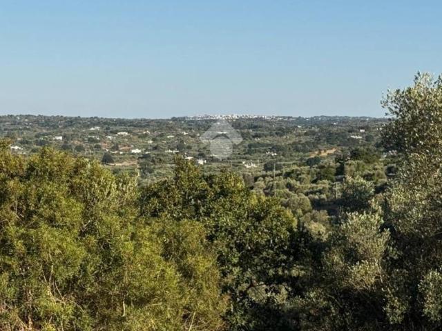 Rustico in vendita a Puglia, Brindisi