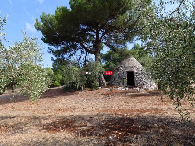 Rustico in vendita a Puglia, Brindisi