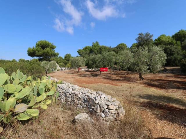 Rustico in vendita a Puglia, Brindisi
