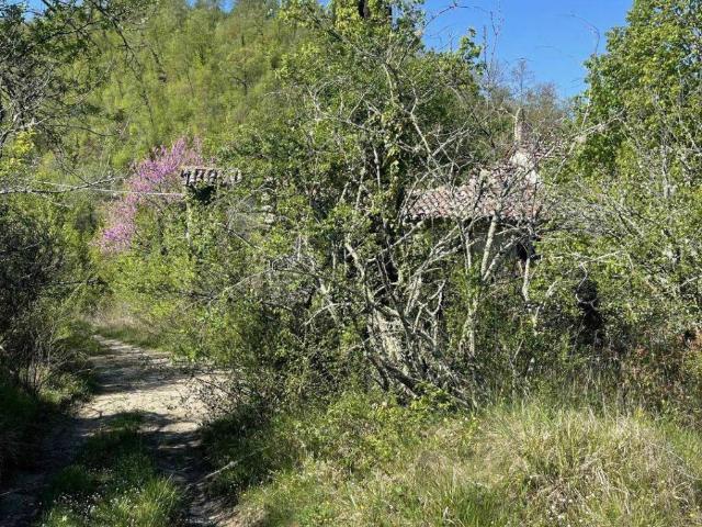 Rustico in vendita a San Leo Bastia, Umbria