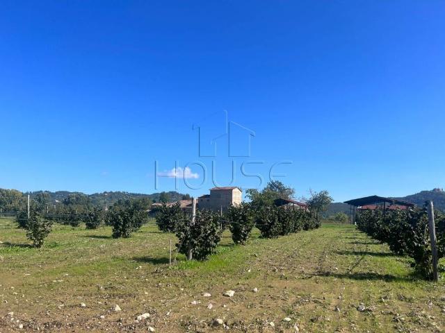 Rustico in vendita a San Leo Bastia, Umbria