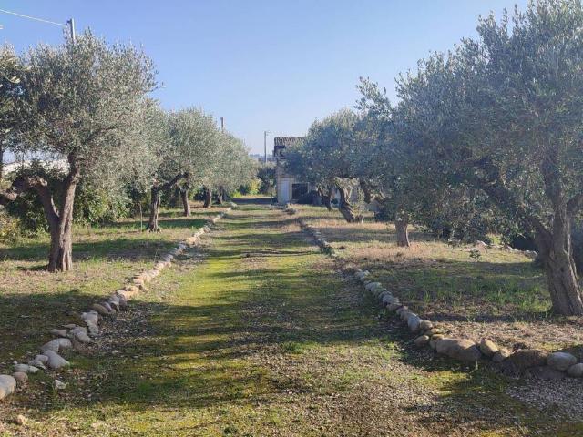 Rustico in vendita a Città Sant'angelo, Abruzzo