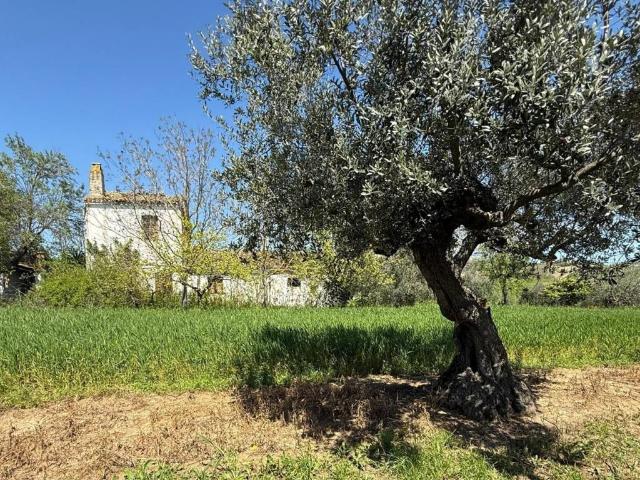 Rustico in vendita a Città Sant'angelo, Abruzzo