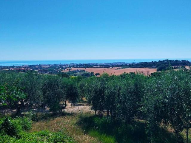 Rustico in vendita a San Gaetano, Marche