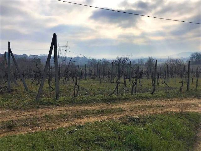 Rustico in vendita a Ciggiano, Arezzo