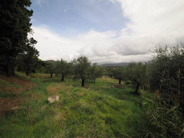 Rustico in vendita a Civitella in Val di Chiana, Viciomaggio