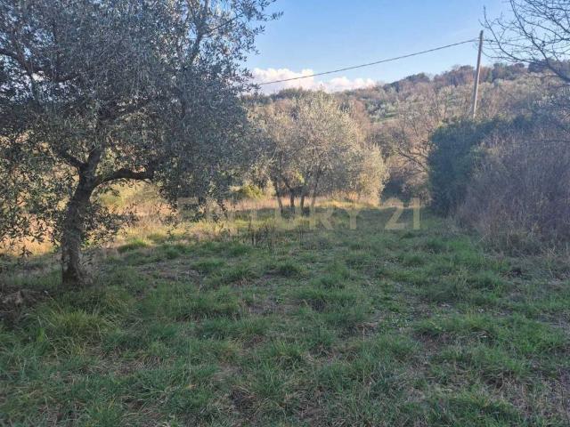 Rustico in vendita a Civitella Paganico, Toscana