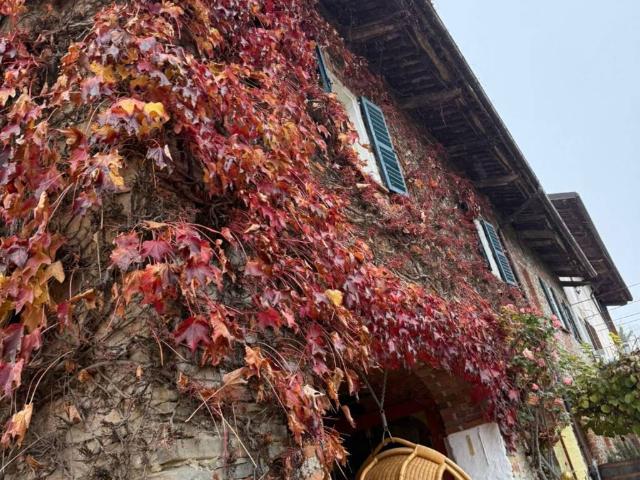 Rustico in vendita a Piemonte, Cuneo