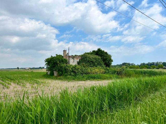 Rustico in vendita a Codevigo, Veneto