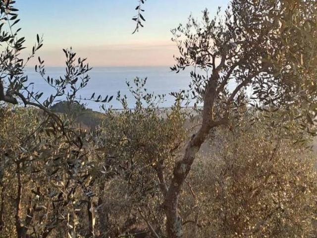 Rustico in vendita a Cogorno, Liguria