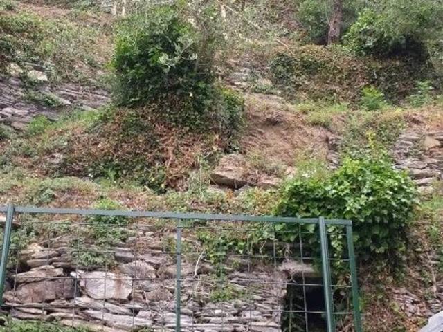 Rustico in vendita a Cogorno, Liguria
