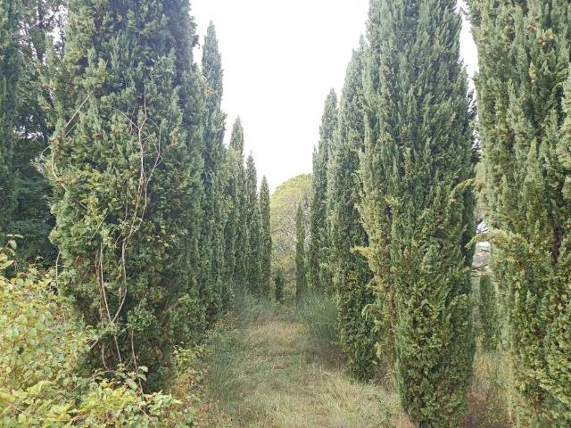 Rustico in vendita a Collazzone, Umbria