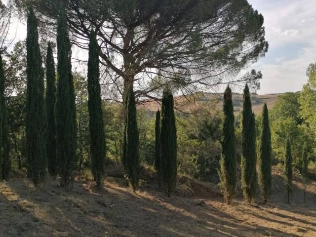 Rustico in vendita a Collazzone, Umbria