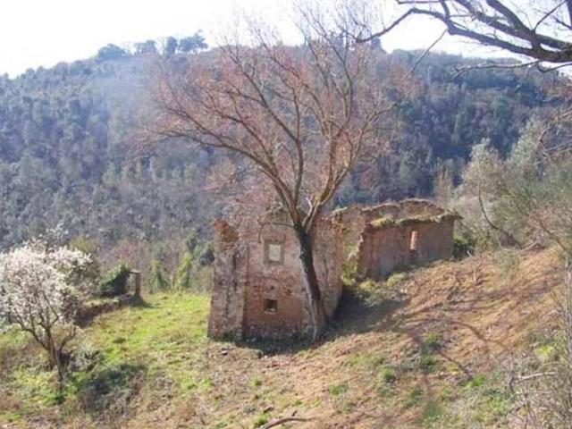Rustico in vendita a Colognole, Collesalvetti
