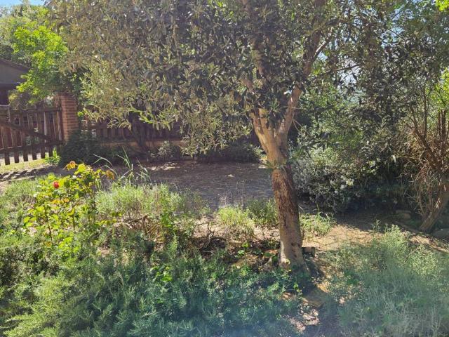 Rustico in vendita a Colli al Metauro, Marche