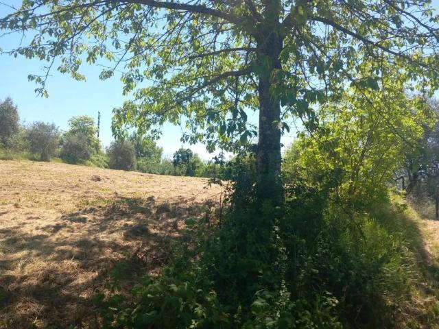 Rustico in vendita a Unione di comuni Montana Lunigiana, Comano