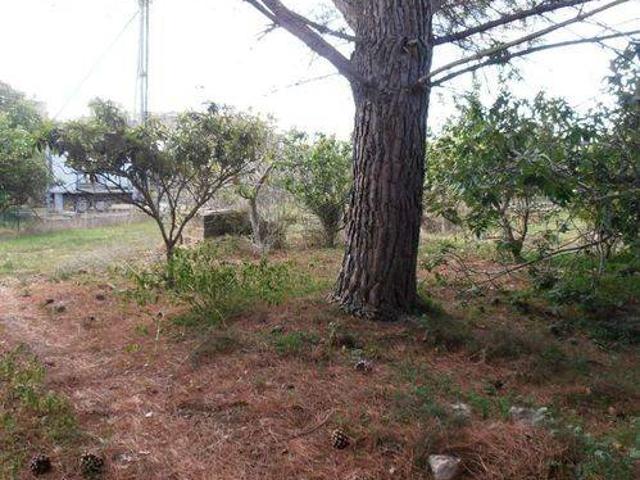 Rustico in vendita a Comiso, Ragusa
