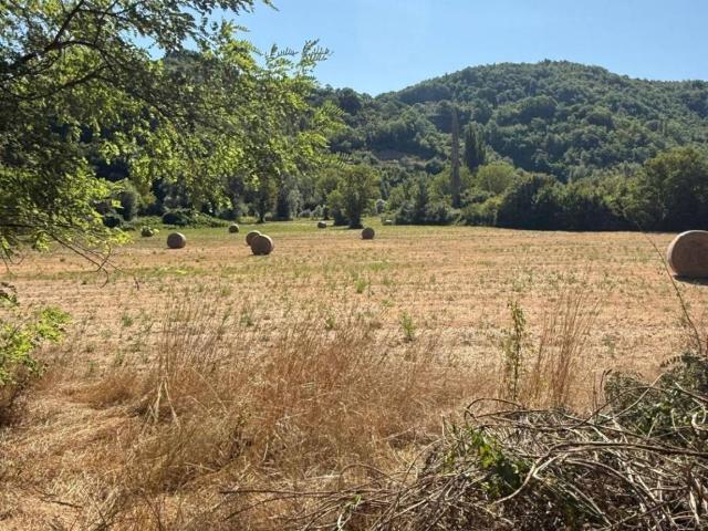 Rustico in vendita a Concerviano, Lazio