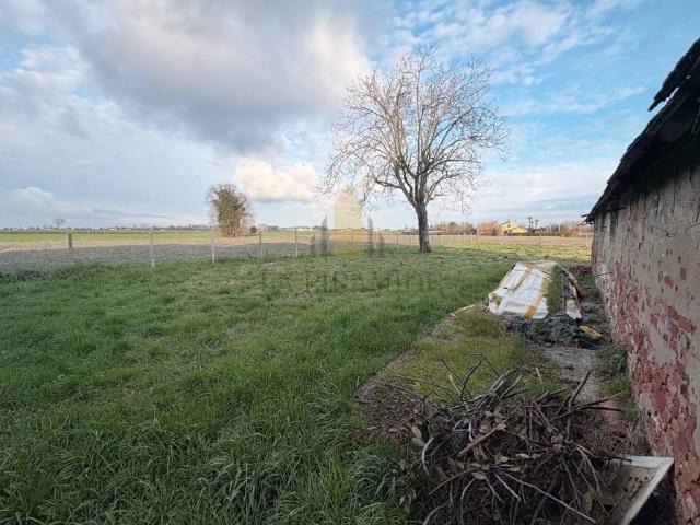 Rustico in vendita a Conselve, Veneto