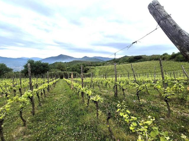 Rustico in vendita a Contrada, Campania