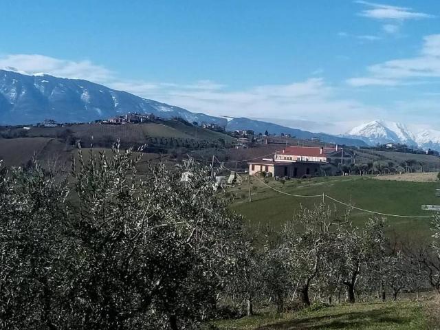 Rustico in vendita a Unione dei Comuni della Val Vibrata, Controguerra