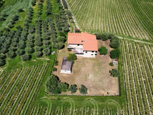 Rustico in vendita a Controguerra, Teramo