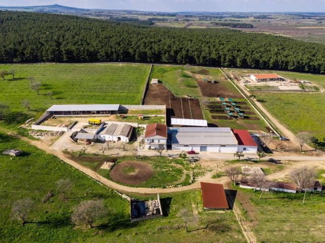 Rustico in vendita a Corato, Bari