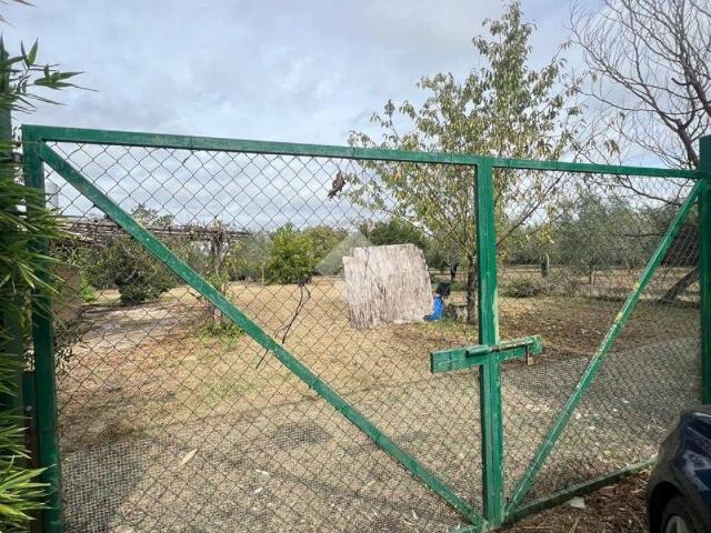 Rustico in vendita a Capo la Ripa, Corchiano
