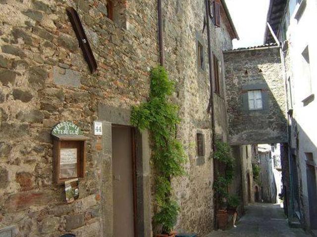 Rustico in vendita a Unione dei comuni Media Valle del Serchio, Coreglia Antelminelli
