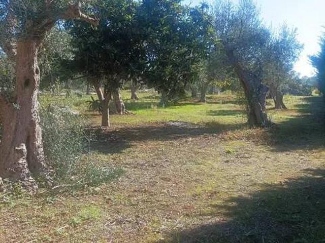 Rustico in vendita a Puglia, Lecce