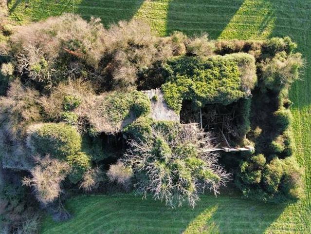 Rustico in vendita a Pianura Reggiana, Re