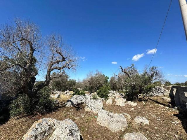 Rustico in vendita a Puglia, Lecce