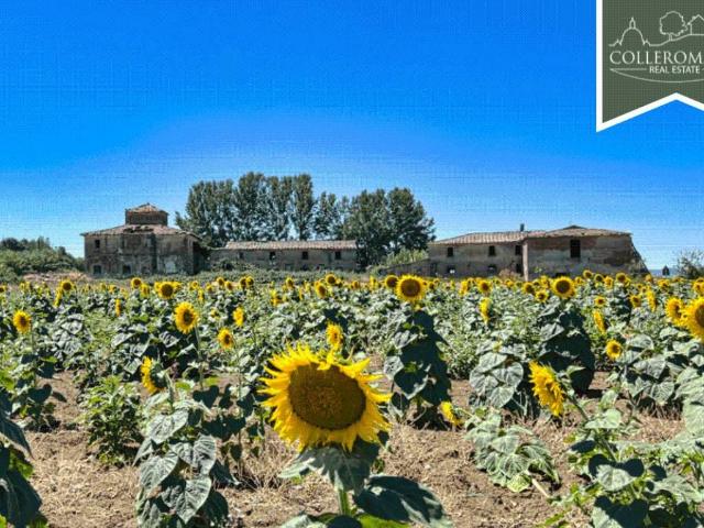 Rustico in vendita a Cortona, Toscana